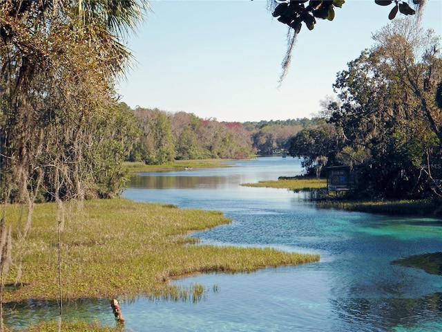 Holly Rd, Dunnellon, FL 34431 - photo 3