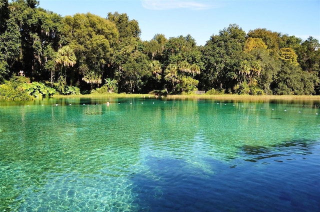 Holly Rd, Dunnellon, FL 34431 - photo 4