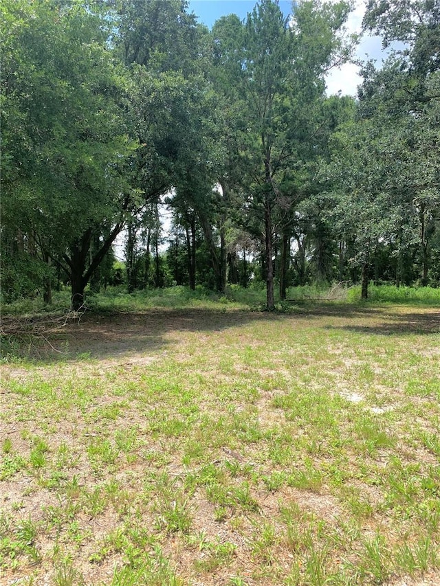 SW 19th Circle, Trenton, FL 32693 - photo 1