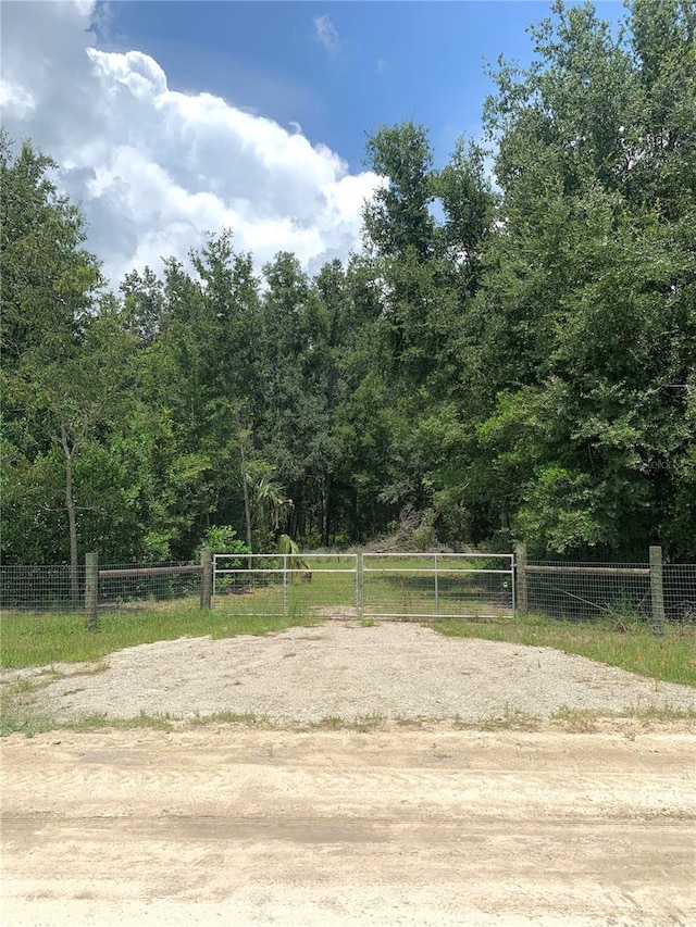 SW 19th Circle, Trenton, FL 32693 - photo 2