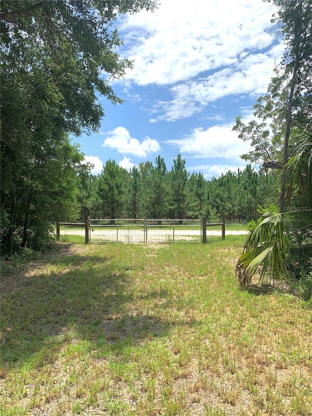 SW 19th Circle, Trenton, FL 32693 - photo 3