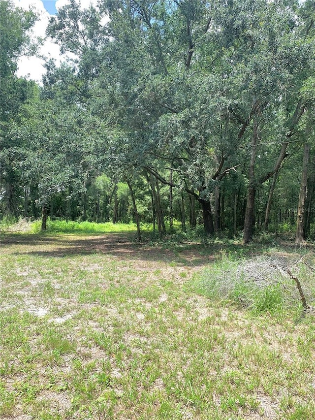 SW 19th Circle, Trenton, FL 32693 - photo 4