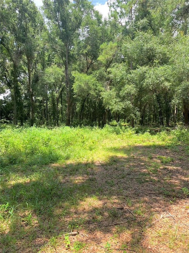 SW 19th Circle, Trenton, FL 32693 - photo 5