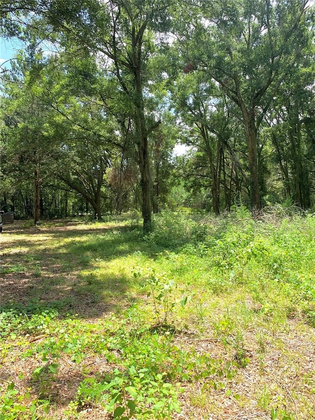 SW 19th Circle, Trenton, FL 32693 - photo 6