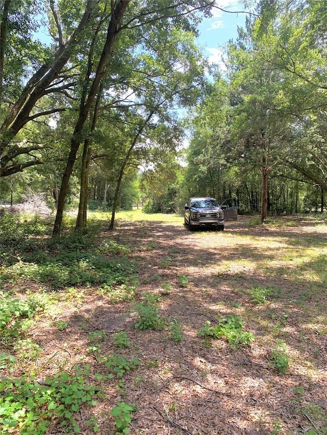 SW 19th Circle, Trenton, FL 32693 - photo 7