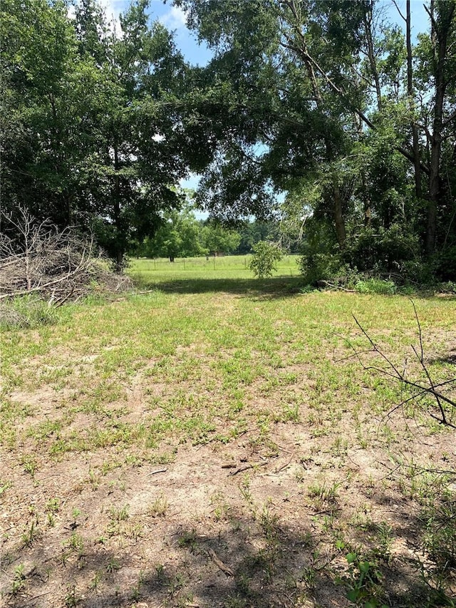 SW 19th Circle, Trenton, FL 32693 - photo 8