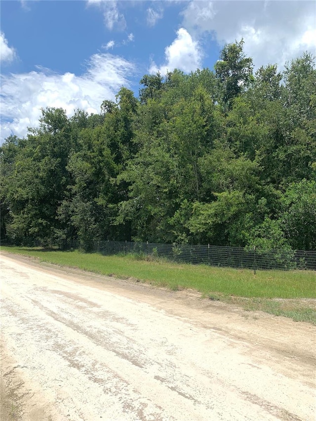 SW 19th Circle, Trenton, FL 32693 - photo 10