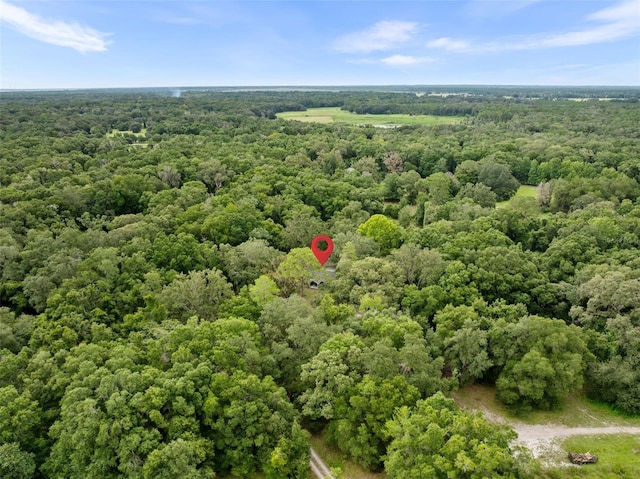 14825 SW 83rd Ter, Archer, FL 32618 - photo 31