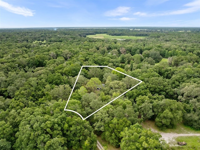 14825 SW 83rd Ter, Archer, FL 32618 - photo 32