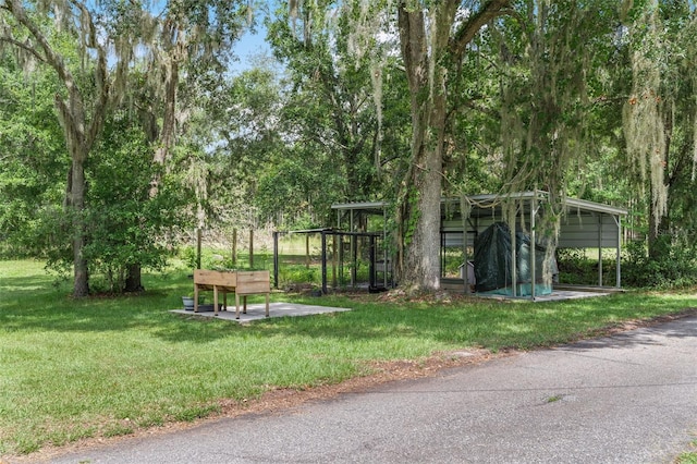 3771 184th St, Wellborn, FL 32094 - photo 13