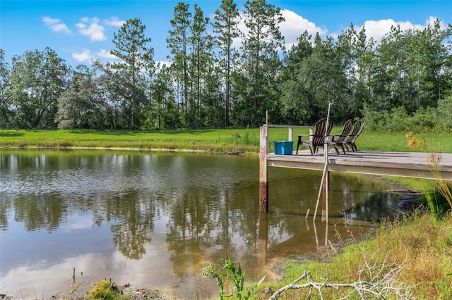 3771 184th St, Wellborn, FL 32094 - photo 41