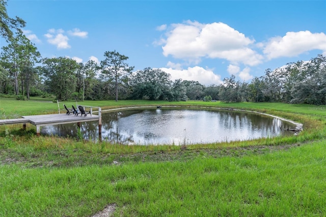 3771 184th St, Wellborn, FL 32094 - photo 43