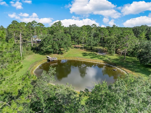 3771 184th St, Wellborn, FL 32094 - photo 50
