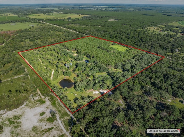 3771 184th St, Wellborn, FL 32094 - photo 57