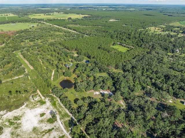 3771 184th St, Wellborn, FL 32094 - photo 58