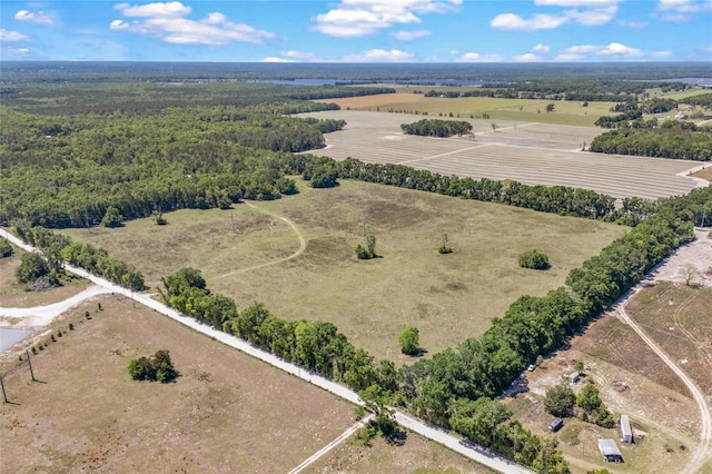 870 SW Fry Ave, Fort White, FL 32038 - photo 3