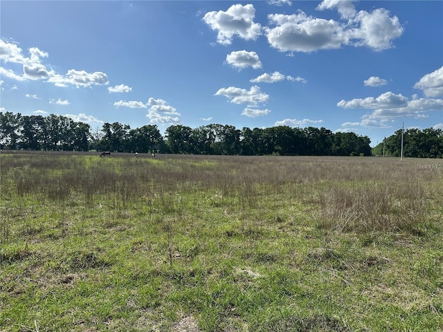 870 SW Fry Ave, Fort White, FL 32038 - photo 8