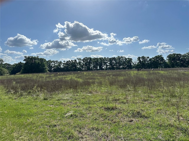 870 SW Fry Ave, Fort White, FL 32038 - photo 9