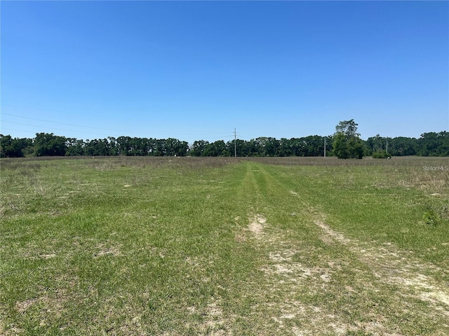 870 SW Fry Ave, Fort White, FL 32038 - photo 11