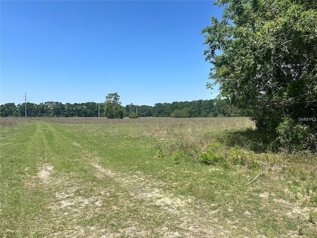 870 SW Fry Ave, Fort White, FL 32038 - photo 12