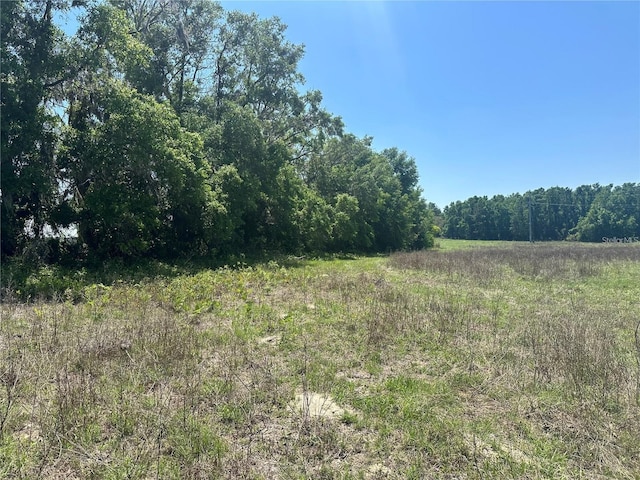 870 SW Fry Ave, Fort White, FL 32038 - photo 13