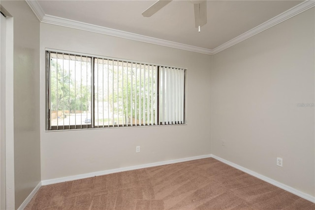 6105 SW 8th Ln, Gainesville, FL 32607 - photo 12