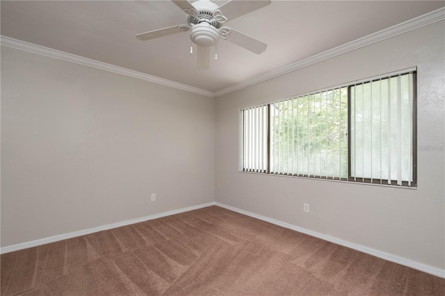 6105 SW 8th Ln, Gainesville, FL 32607 - photo 14