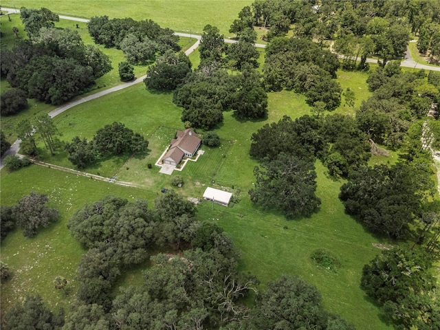 6891 NW 88th Ln, Chiefland, FL 32626 - photo 9