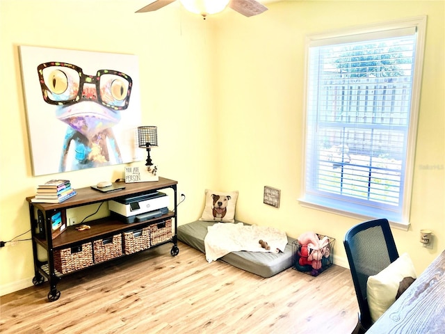 22713 NW 191st Ln, High Springs, FL 32643 - photo 21