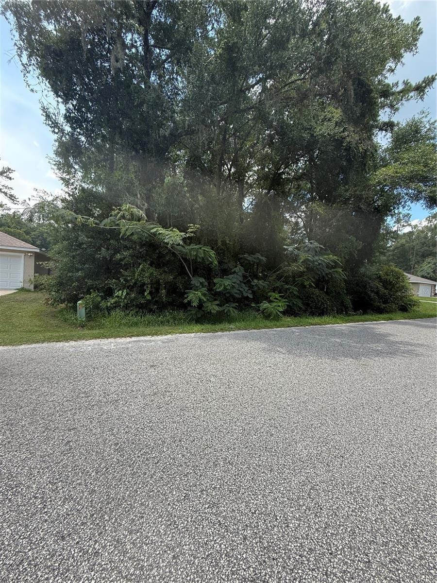 TBD NW 60th Ter, Ocala, FL 34482 - photo 1