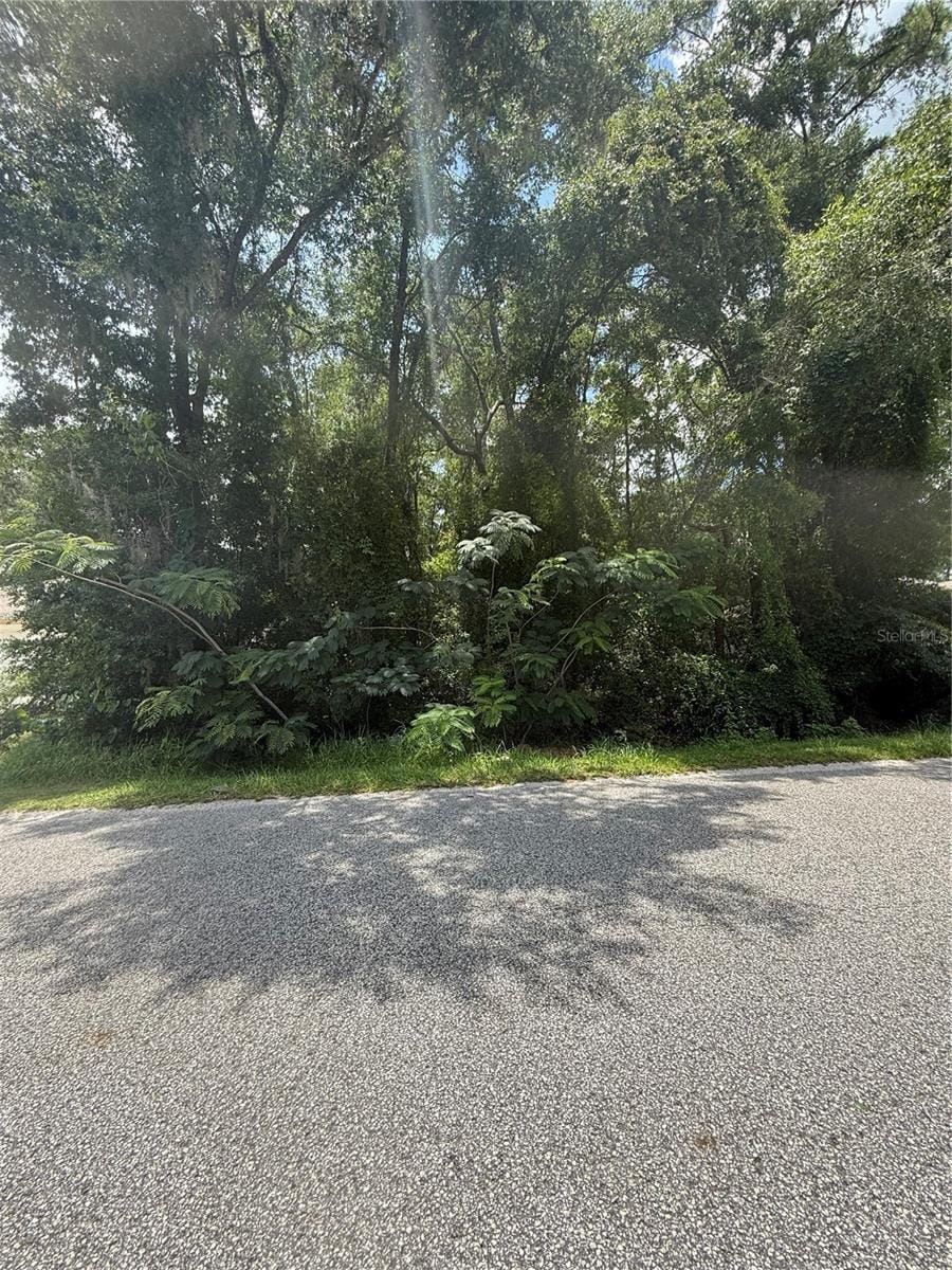 TBD NW 60th Ter, Ocala, FL 34482 - photo 3