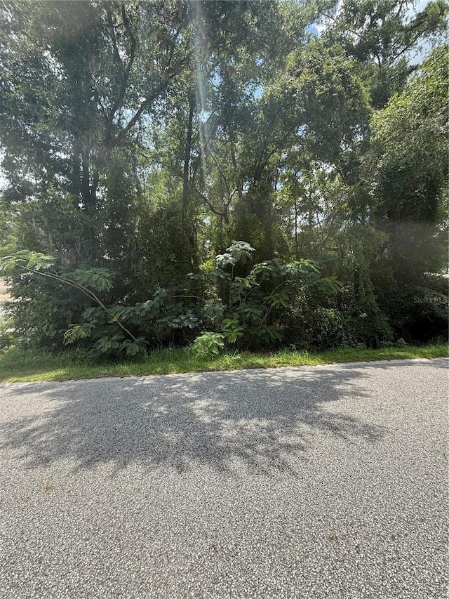 TBD NW 60th Ter, Ocala, FL 34482 - photo 3