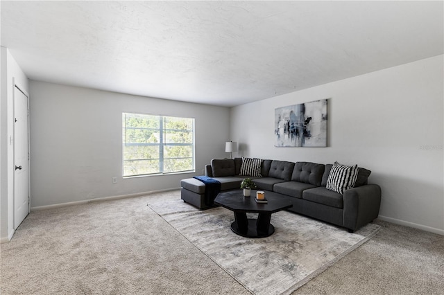 3904 SW 26th Dr Unit B, Gainesville, FL 32608 - photo 3