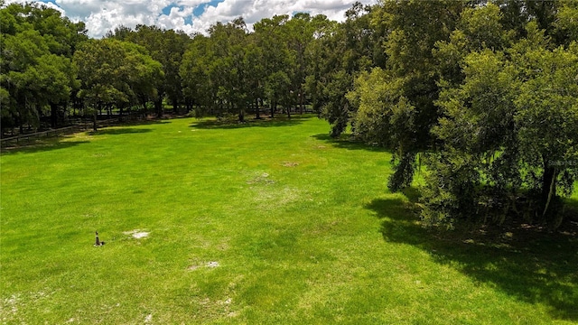 6715 SW 100th Ln, Gainesville, FL 32608 - photo 4