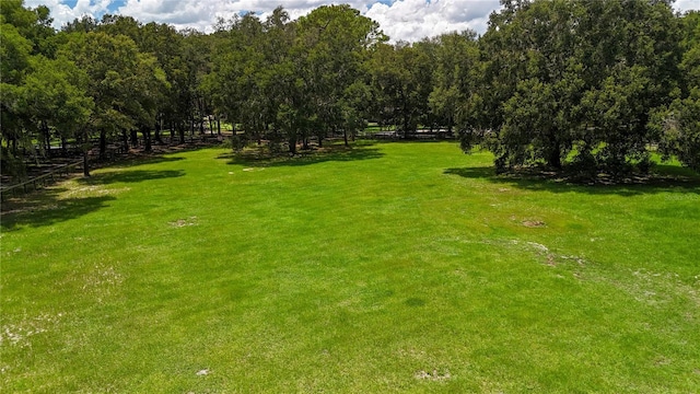 6715 SW 100th Ln, Gainesville, FL 32608 - photo 5