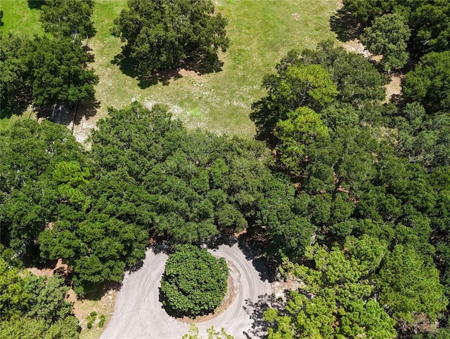 6715 SW 100th Ln, Gainesville, FL 32608 - photo 7