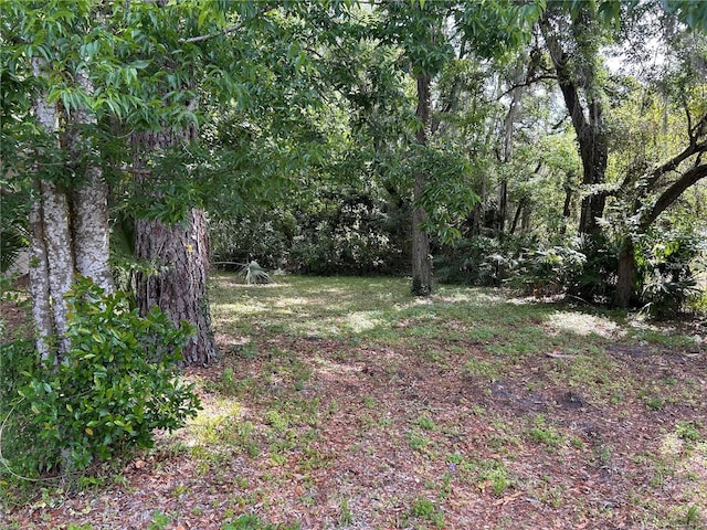 TBD SE 12th St, Gainesville, FL 32641 - photo 1