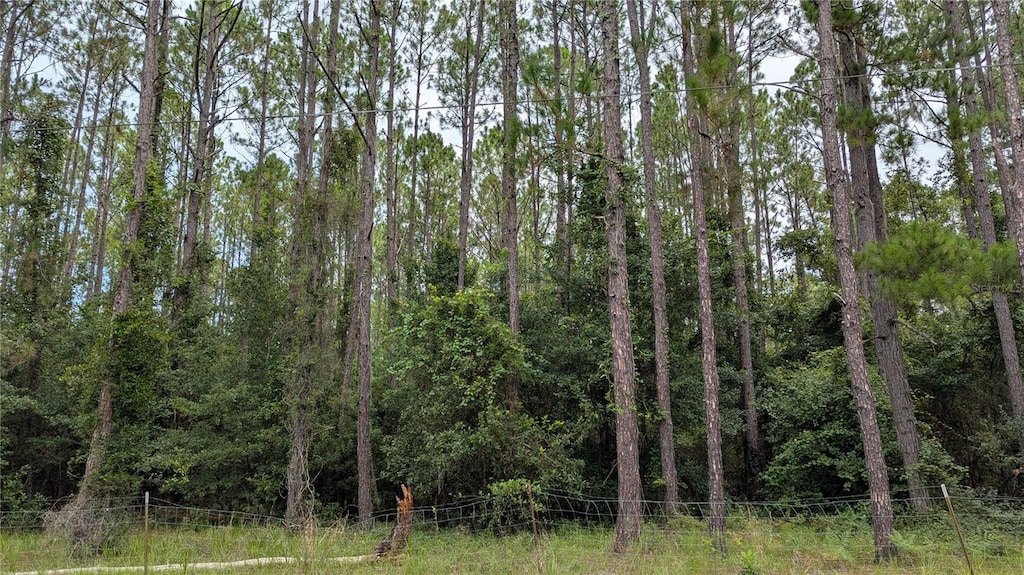 TBD SE 3rd Pl, Gainesville, FL 32641 - photo 1
