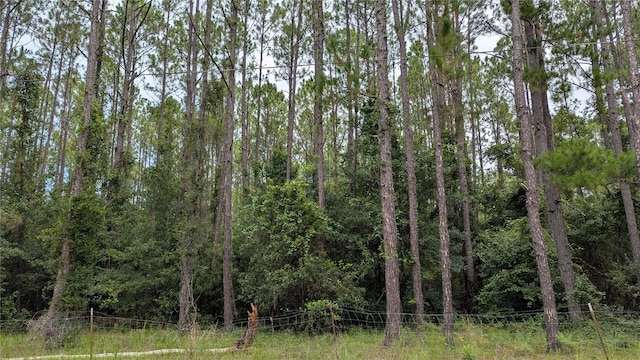 TBD SE 3rd Pl, Gainesville, FL 32641 - photo 1