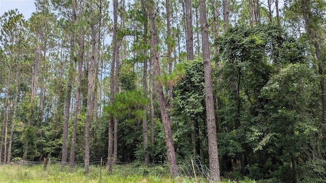 TBD SE 3rd Pl, Gainesville, FL 32641 - photo 2