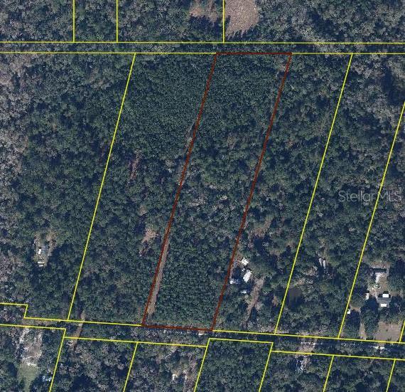 TBD SE 3rd Pl, Gainesville, FL 32641 - photo 4