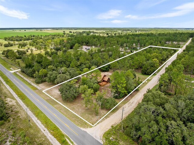 50 NE 131st Ter, Williston, FL 32696 - photo 4