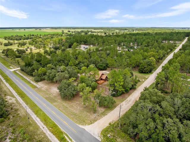 50 NE 131st Ter, Williston, FL 32696 - photo 5