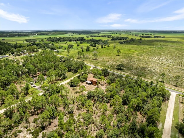 50 NE 131st Ter, Williston, FL 32696 - photo 50