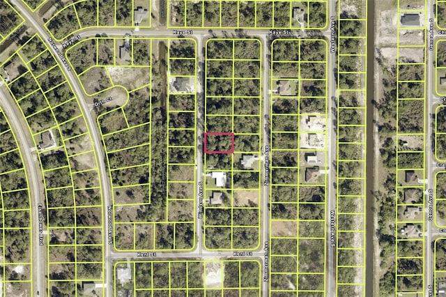 451 Windsor Ave S, Lehigh Acres, FL 33974 - photo 1