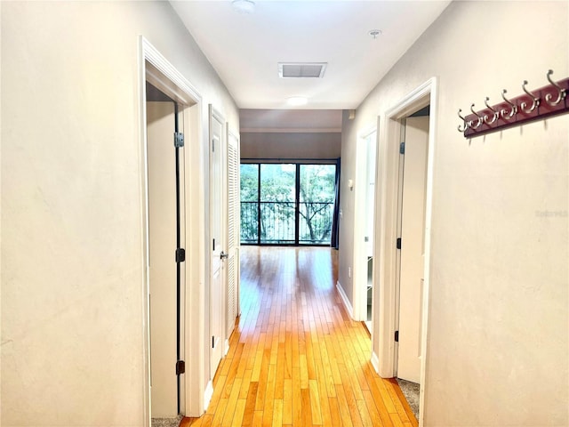20 SW 6th St Unit 303, Gainesville, FL 32601 - photo 6