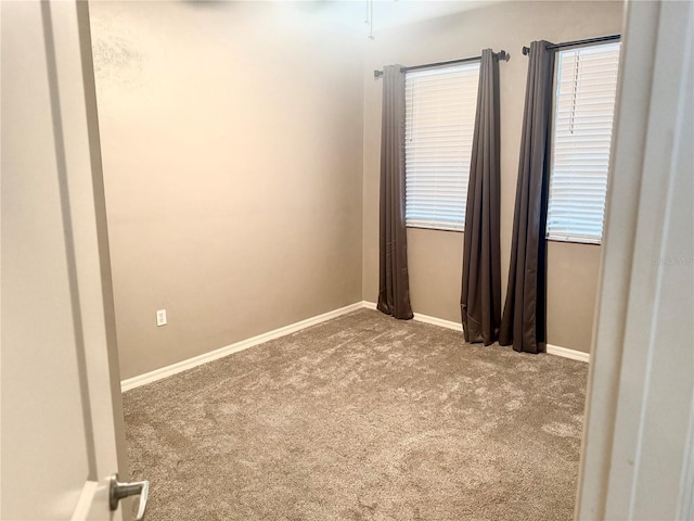 20 SW 6th St Unit 303, Gainesville, FL 32601 - photo 8