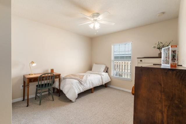 8034 SW 65th Ln, Gainesville, FL 32608 - photo 12