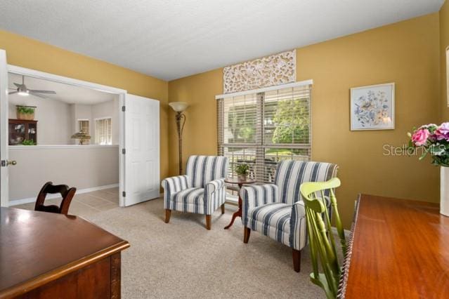 8034 SW 65th Ln, Gainesville, FL 32608 - photo 16