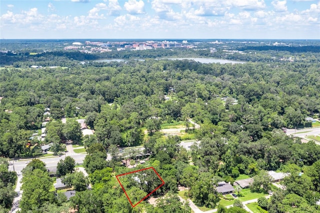 4105 SW 20th Ter, Gainesville, FL 32608 - photo 3